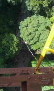 working abroad bungee jumping