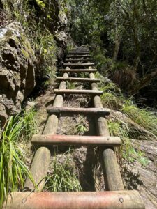 Sabbatical Hiking Table Mountain